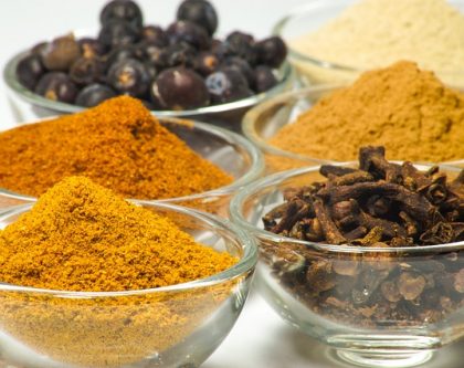 modern-kids-design-benefits-of-spices