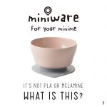 what-is-miniware1-1_new